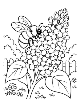 A fluffy bumblebee rests on blooming lilac flowers in this may coloring page.