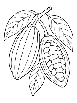 Free printable Sacred Cacao Pods On Branch coloring page