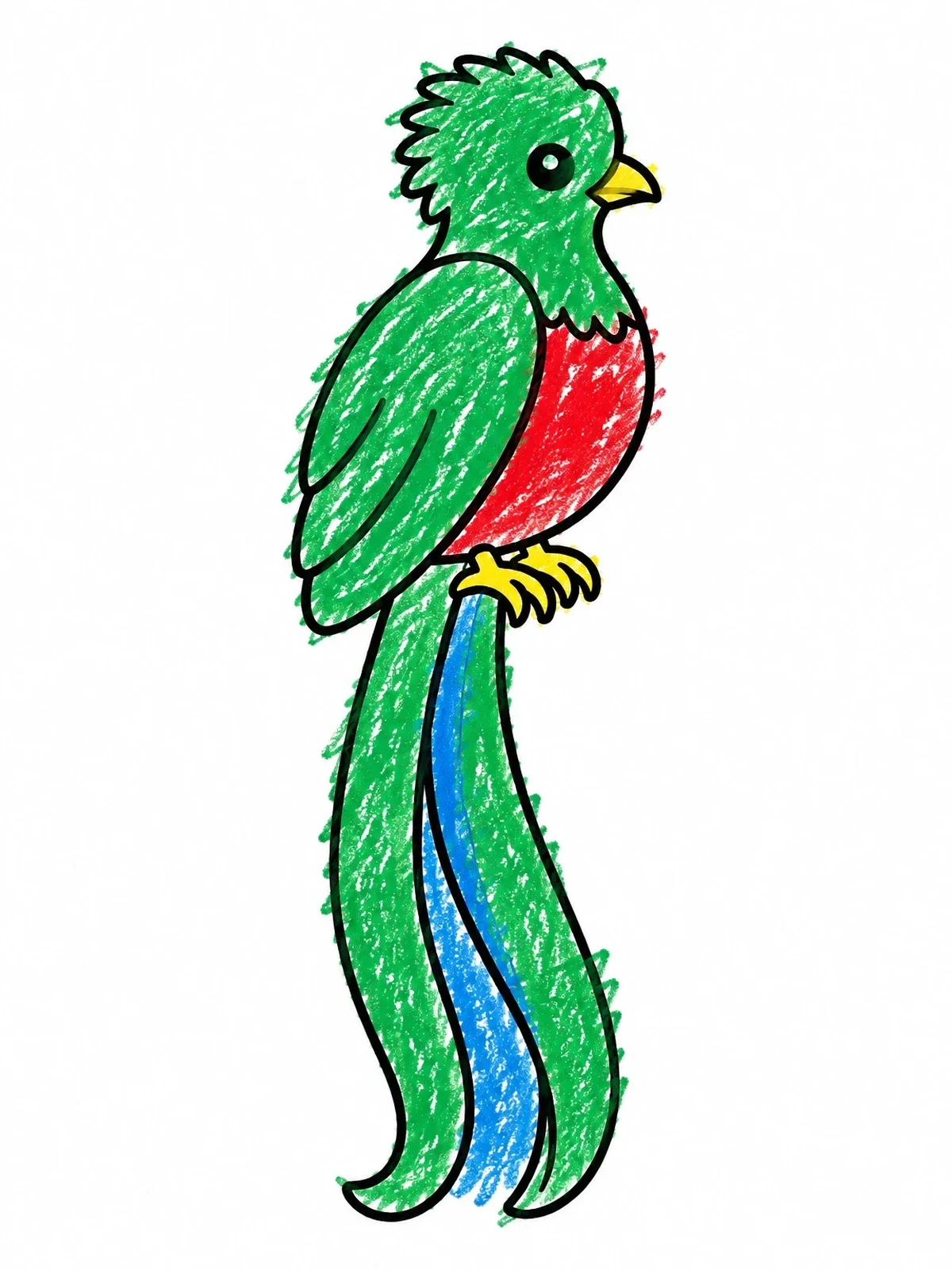 Colored example of the Resplendent Quetzal Bird coloring page