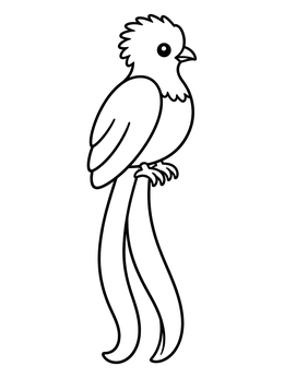 Free printable Resplendent Quetzal Bird coloring page