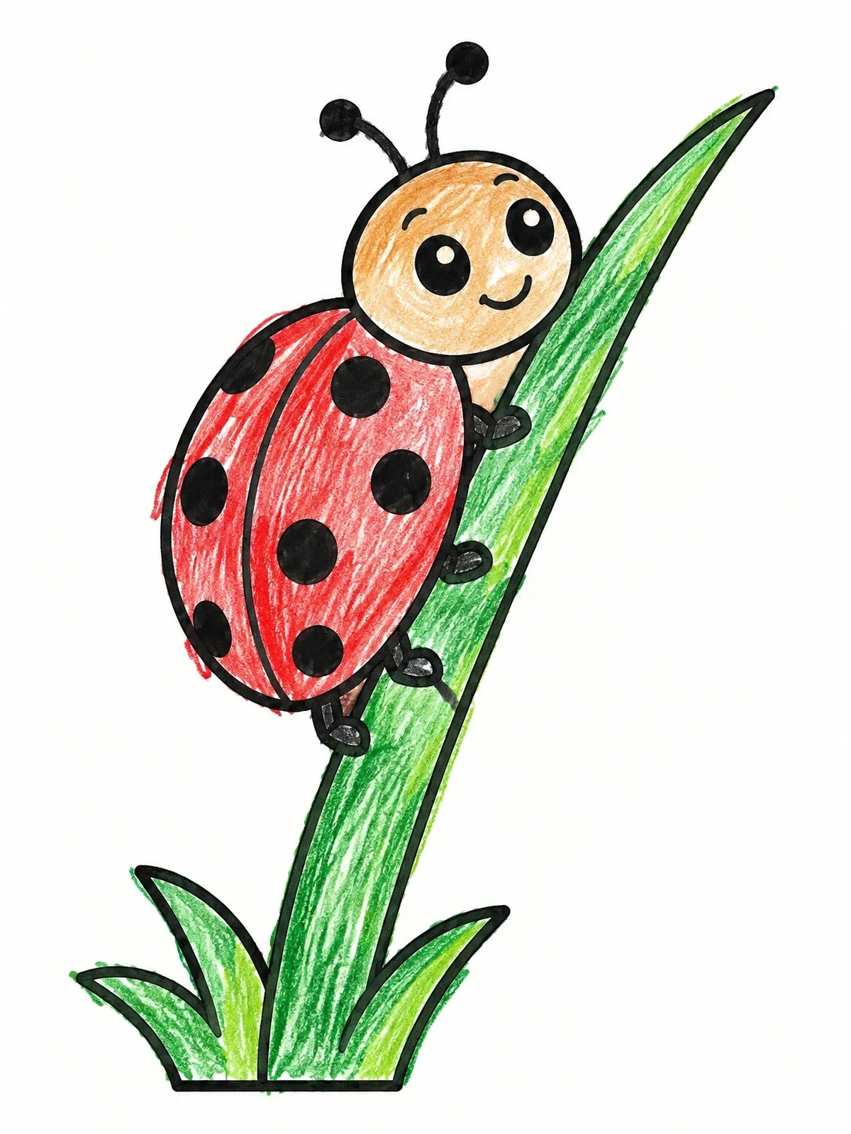 Colored example of the Cute Ladybug On A Blade Of Grass coloring page