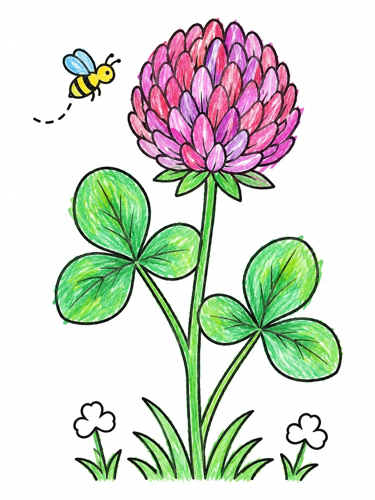 Colored example of the Red Clover Flower And Honeybee coloring page