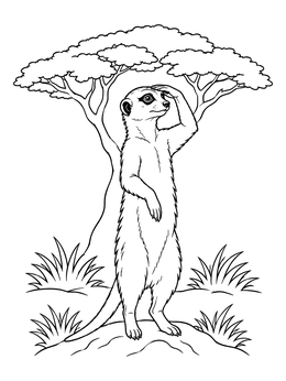 Free printable Meerkat On Guard By Acacia Tree coloring page