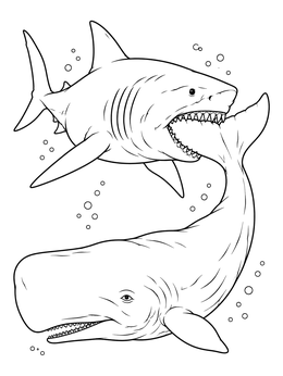 Free printable Megalodon Attacking A Prehistoric Whale coloring page