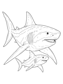 Free printable Megalodon With Juvenile Pup coloring page
