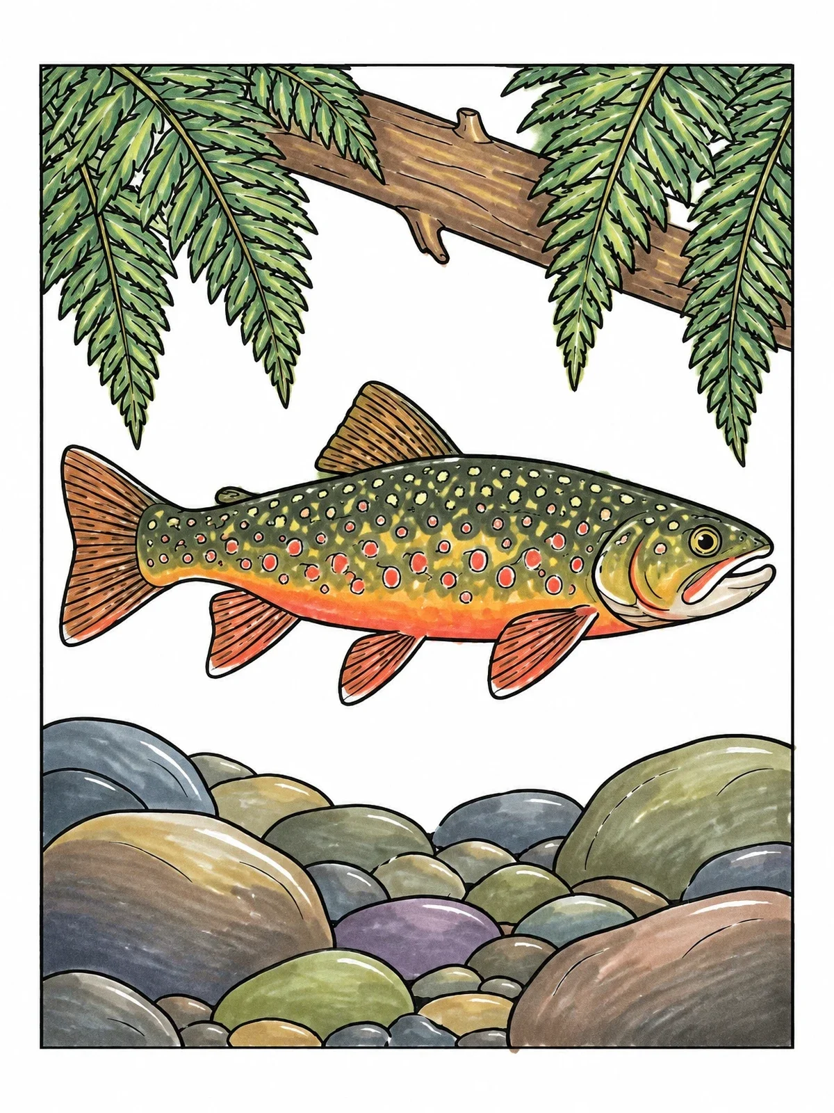 Colored example of the Michigan Brook Trout In River coloring page