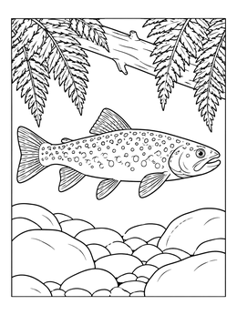 A brook trout swims near river rocks in this michigan coloring page with ferns.