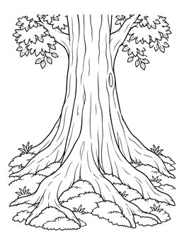 Detailed tree coloring page showing a massive trunk with thick roots spreading over mossy ground.