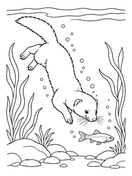 A mink diving underwater toward a small fish on this mink coloring page.