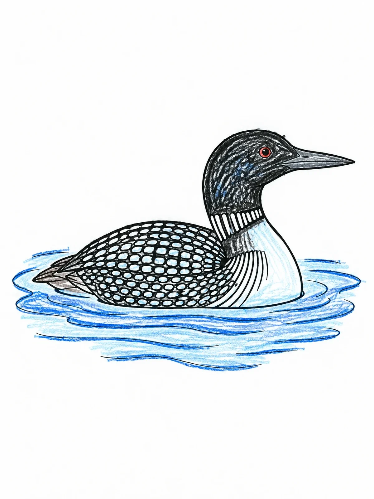 Colored example of the Common Loon Floating On Water coloring page