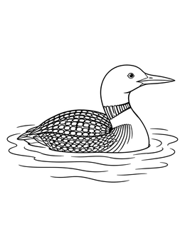 Free printable Common Loon Floating On Water coloring page