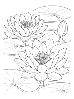 Free printable Blooming Water Lilies On The Pond coloring page