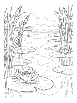 Free printable Water Lilies And Reeds At Sunset coloring page