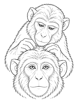 Detailed monkey coloring page showing one primate gently grooming another.