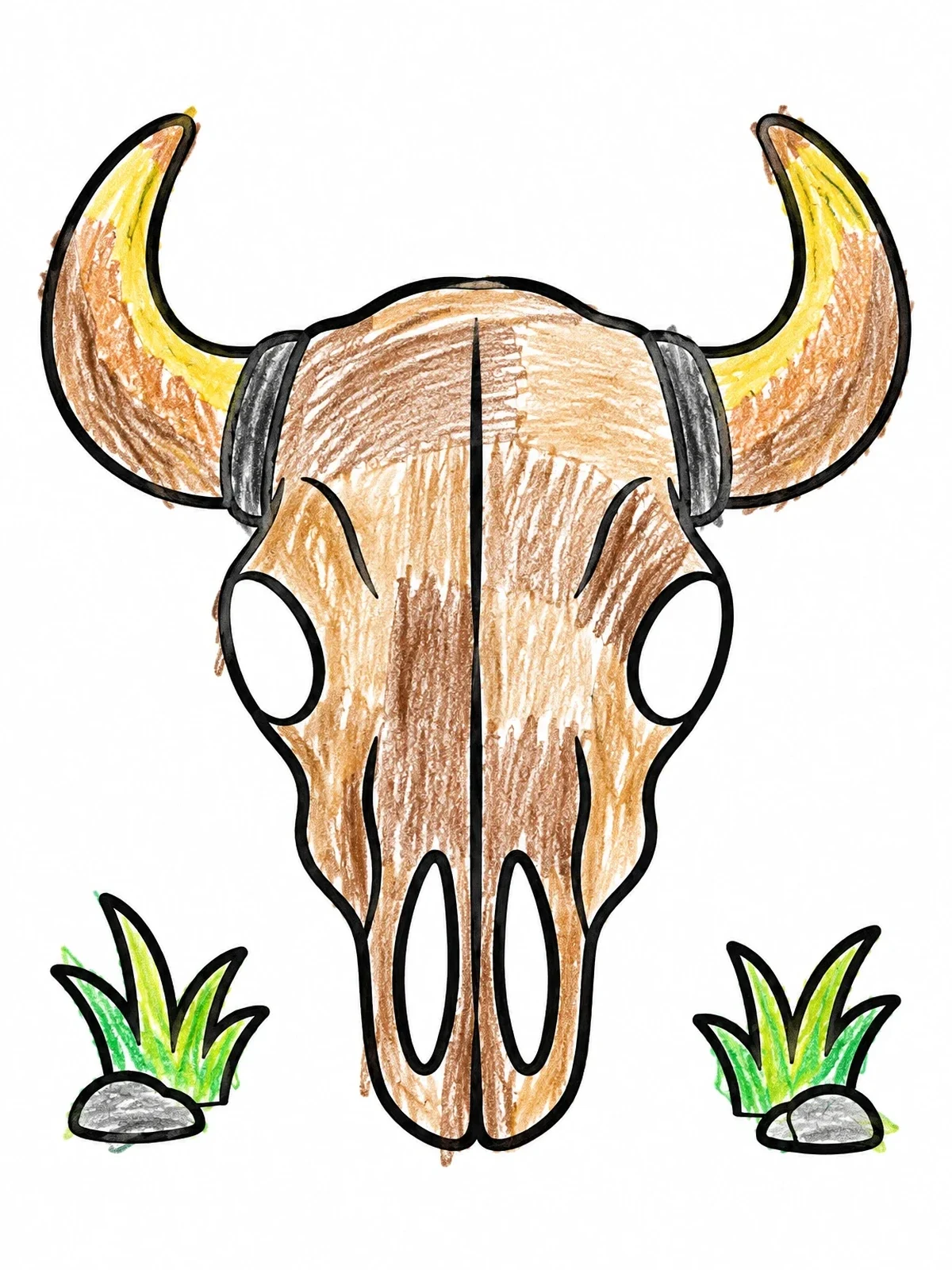 Colored example of the Western Bison Skull With Horns coloring page
