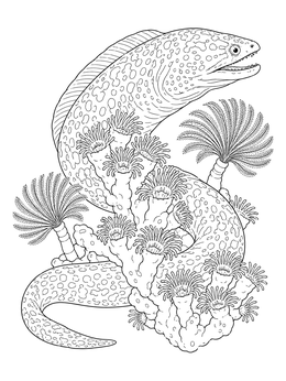 Free printable Moray Eel With Coral Polyps coloring page