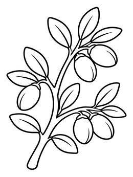 Free printable Moroccan Argan Tree Branch coloring page