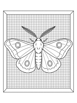 A detailed moth coloring page showing a large moth resting on a window mesh screen.