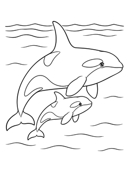 Free printable Mother And Calf Killer Whales coloring page