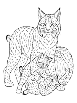 A mother wildcat watching her cubs in this detailed bobcat coloring page.