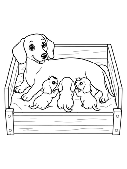 A dachshund coloring page showing a mother dog caring for three cute puppies in a wooden box.