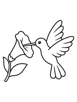 Free printable Hummingbird And Trumpet Flower coloring page