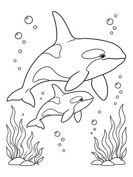 An orca whale coloring page showing a mother killer whale swimming alongside her calf underwater.