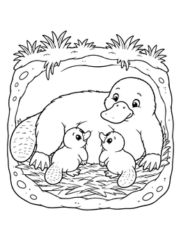 A mother platypus coloring page showing her resting with two cute baby puggles in a burrow.