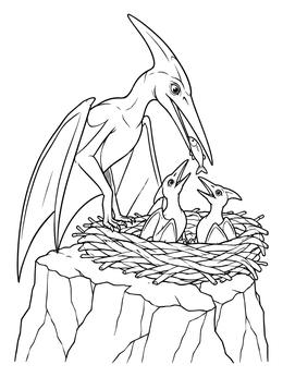 In this pterodactyl coloring page, a mother dinosaur feeds a fish to her two baby chicks resting in a cliffside nest.