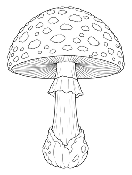A detailed mushroom coloring page showcasing a classic spotted fly agaric toadstool with gills and stem ring.