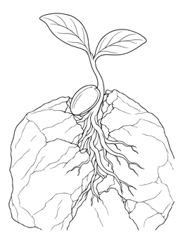A mustard seed coloring page showing a tiny sprout breaking through a cracked solid stone.