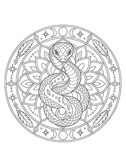 Intricate snake coloring page framed by moon phases and feathers in a mandala design.