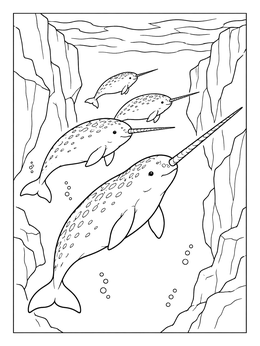 A peaceful narwhal coloring page showing a group of narwhals swimming between icy cliffs.