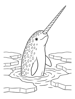 A friendly whale emerges among ice floes in this narwhal coloring page.