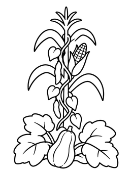 Free printable Three Sisters Garden Crops coloring page