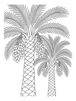 Two detailed desert palm trees with date clusters in a nativity coloring page.