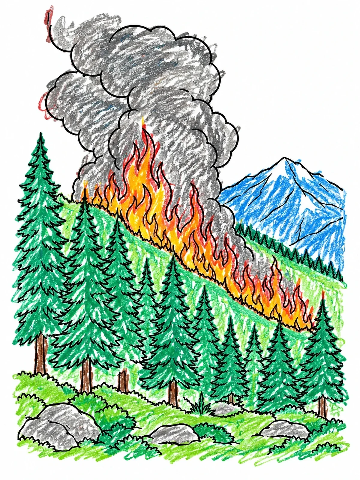 Colored example of the Mountain Wildfire And Pine Forest coloring page