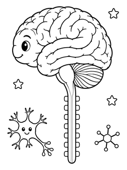 Free printable Cute Brain And Spinal Cord Diagram coloring page