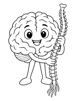A cheerful cartoon brain character in a nervous system coloring page holding a spine.