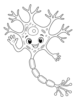 A cheerful cartoon nerve cell on this nervous system coloring page.