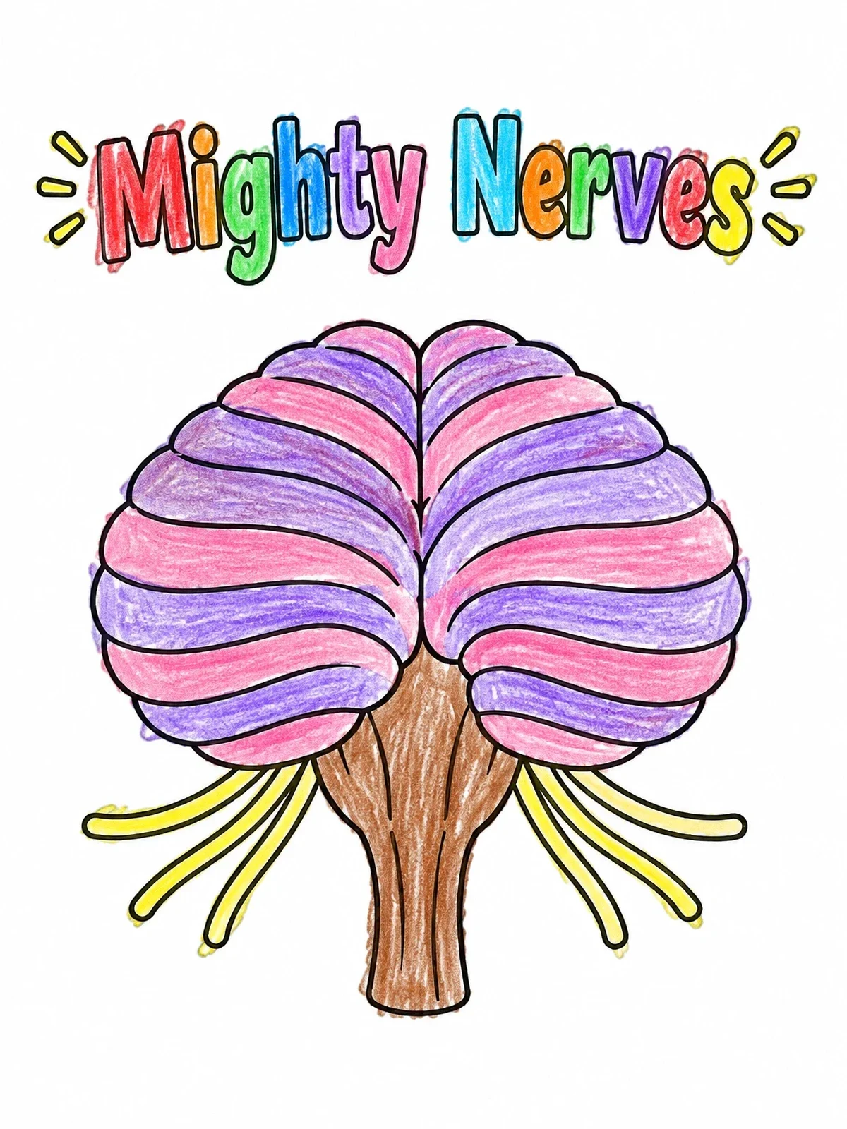 Colored example of the Mighty Nerves And Brainstem Diagram coloring page