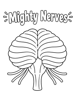 Free printable Mighty Nerves And Brainstem Diagram coloring page