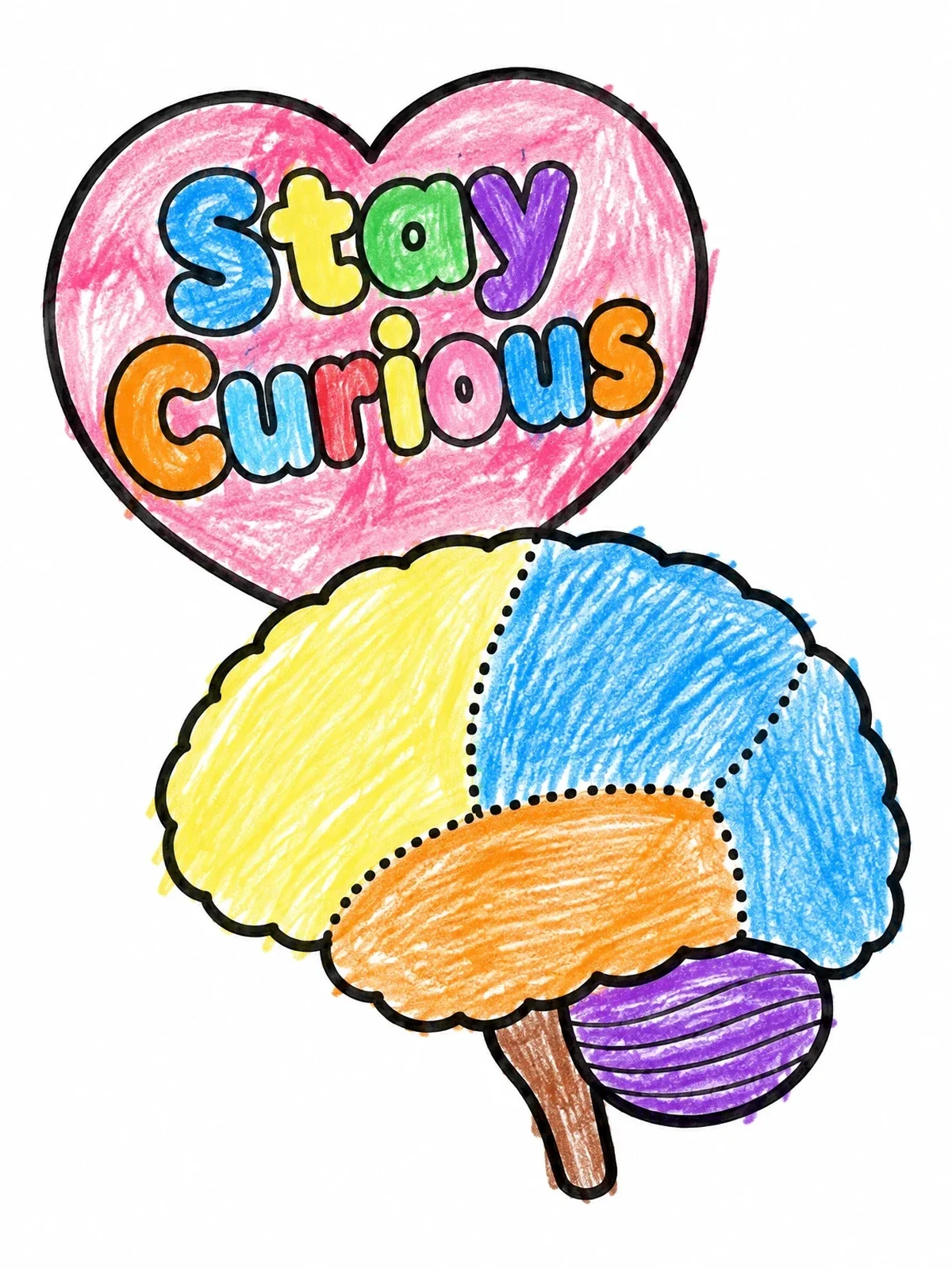 Colored example of the Stay Curious Brain Lobes Diagram coloring page