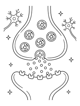 Free printable Synapse And Neurotransmitter Release coloring page