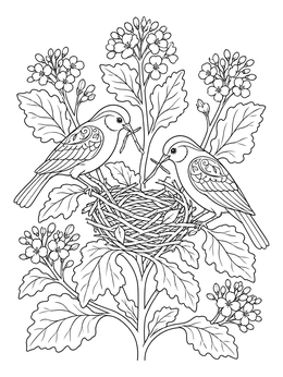 Two birds building a nest in a mustard seed coloring page with botanical details.