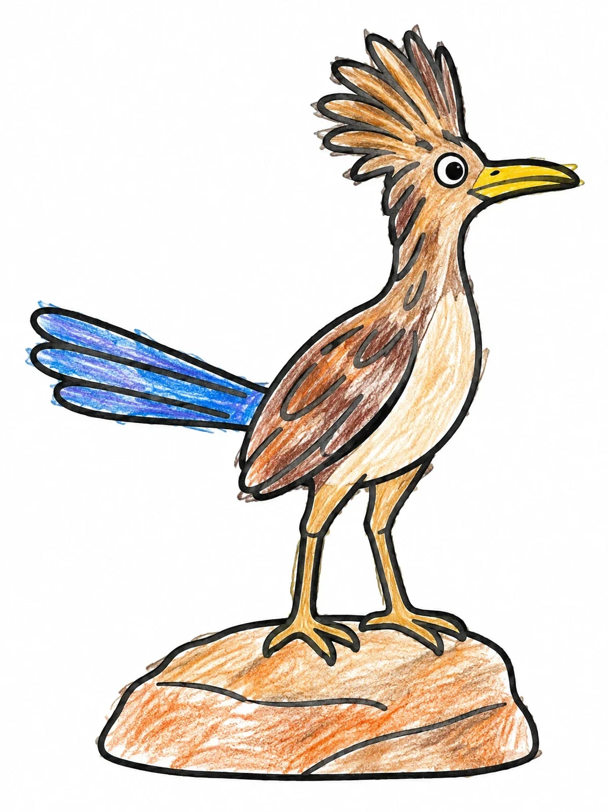 Colored example of the Cheerful Roadrunner On A Desert Rock coloring page