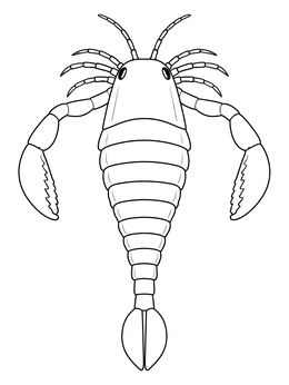 Free printable Eurypterus Sea Scorpion Fossil Symbol coloring page