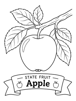 An apple hanging from a branch in this new york state symbols coloring page.