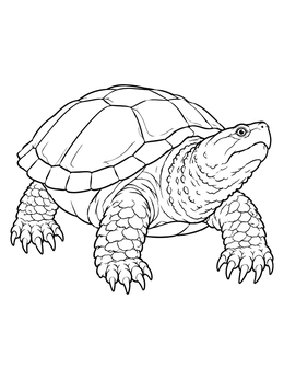 Free printable Common Snapping Turtle Line Art coloring page