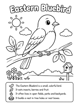 Free printable Cute Eastern Bluebird With Facts coloring page